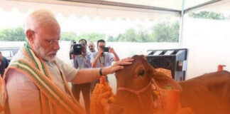 குரங்குகளின் பிடியில் நவீன அறிவியல்!