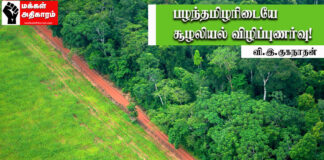 பழந்தமிழரிடையே சூழலியல் விழிப்புணர்வு! | வி.இ.குகநாதன்