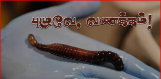 புழுவே, வணக்கம் ! – கவிதை