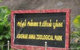 சென்னை வண்டலூர் அண்ணா உயிரியல் பூங்கா – ஒரு பார்வை
