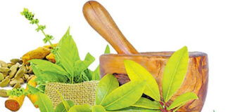 மருத்துவம் சித்த மருத்துவப் பொக்கிஷங்களுக்கு ஆயூர்வேத லேபிள்!