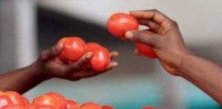 அதிகரிக்கும் தக்காளி விலை: என்ன செய்கின்றன ஒன்றிய, மாநில அரசுகள்?