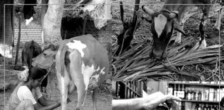 உழுதவன் கணக்குப் பார்த்தால் உழக்கு கூட மிஞ்சாது!