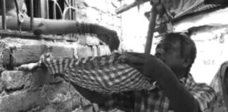 சொரணை கெட்டு போன வடக்கே என்ன வாழுதாம்!