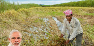 படிப்படியாக பறிபோகும் கிசான் சம்மான் நிதி; சிறு, குறு விவசாயிகளை ஒழித்து வரும் மோடி அரசு!