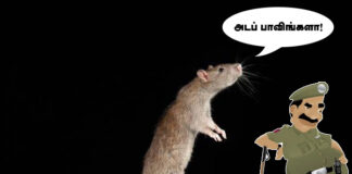 500 கிலோ கஞ்சாவை எலிகள் தின்றுவிட்டன!