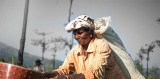 டான் டீ தொழிலாளர்கள் நிலையும், பாஜகவின் முதலைக் கண்ணீரும்!