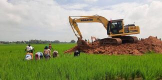 நெற்பயிரை அழித்து சாலை அமைப்பது தான் மக்கள் நல அரசா?