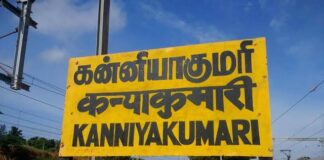 கன்னியாகுமரி: தொடர் மழையால் வாழ்க்கை இழந்து நிற்கும் ரப்பர் தோட்ட விவசாயிகள்-தொழிலாளர்கள்!