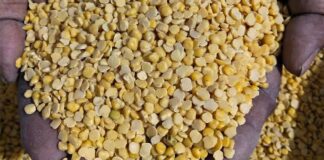 ஏழைகளின் உணவில் விசம் கலக்கும் பாசிச பாஜக அரசு