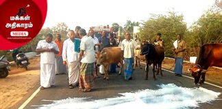 குடிக்கும் பாலை தெருவில் கொட்டி போராட்டம் – ஏன்?