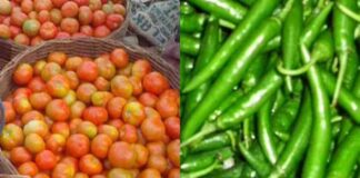 சதமடித்துள்ள தக்காளி, மிளகாய் விலை: வேடிக்கை பார்க்கும் மோடி அரசு!