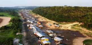 அமேசான் வறட்சி: மனித சமுதாயத்திற்க்கு விடும் எச்சரிக்கை!