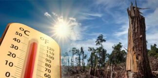 இந்தியாவில் வெப்ப அலை எச்சரிக்கை – மக்களுக்கு முன்னெச்சரிக்கை சரி! இயற்கையை அழிக்கும் கார்ப்பரேட் திட்டங்களை நிறுத்துவது எப்போது? காடுகள் அழிப்பு