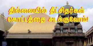 தில்லையில் தீட்சிதர்கள் கொட்டத்தை அடக்குவோம்! Thillai chidambaram