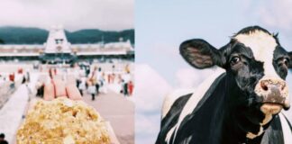 திருப்பதி லட்டு விவகாரமும்! சந்தி சிரிக்கும் உண்மைகளும்!.