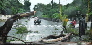புதுச்சேரி: ஃபெஞ்சல் புயல் பாதிப்பும், மேட்டுக்குடியின் கும்மாளமும்!