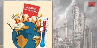 2024 மிகவும் வெப்பமான ஆண்டு என்ன செய்யப் போகிறோம்?