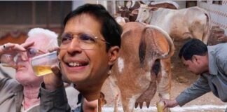 மாட்டு மூத்திரத்தைக் குடிக்கச் சொல்லும் ஐஐடி இயக்குநர்!