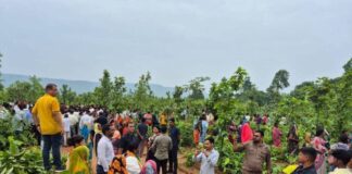 சத்தீஸ்கர் வனக்காடுகள் அதானிக்கு! உயிர்பலி பழங்குடிகள் மற்றும் மாவோயிஸ்டுகளுக்கு!