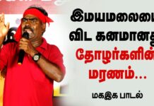 இமயமலையை விட கனமானது தோழர்களின் மரணம் | மகஇக பாடல் | தோழர் கோவன்