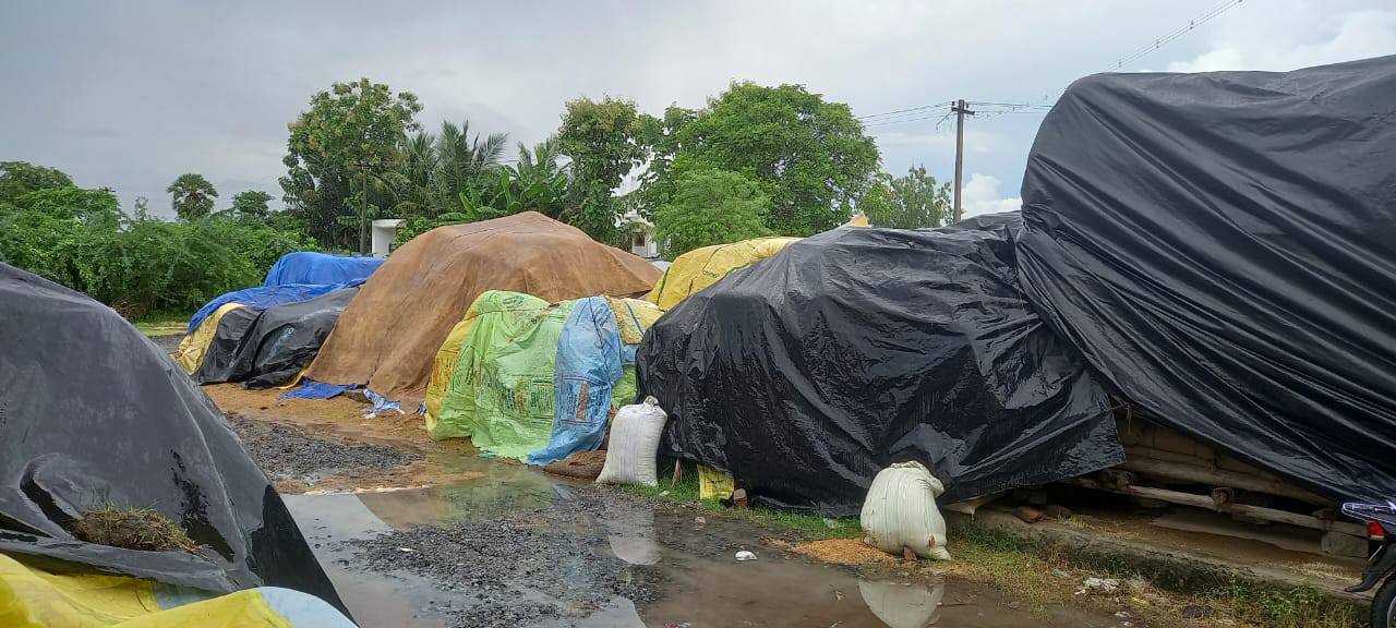 நெல் கொள்முதல் நிலையங்களில் வீணாகும் நெல் மூட்டைகள்! கண்டுகொள்ளாத திமுக அரசு!