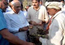 குஜராத்: மழையில் பயிர்கள் சேதமடைந்ததற்கு அற்பத்தொகையை நிவாரணமாக வழங்கும் பாஜக அரசு!